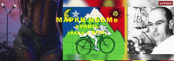 гидра Балахна