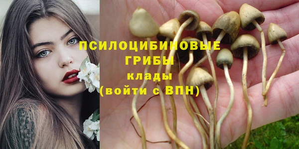 гидра Балахна