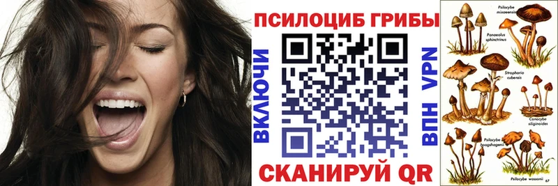 Галлюциногенные грибы мицелий  хочу   hydra зеркало  Буинск 